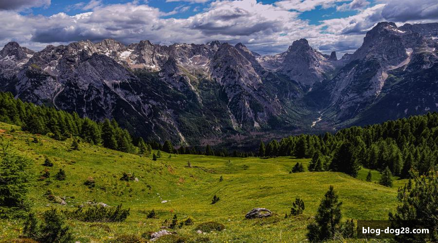 狗子28(中国)官方网站 - 狗子28大舞台，有梦你就来